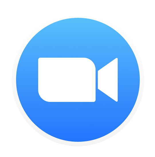 Zoom Training Zoom Icon