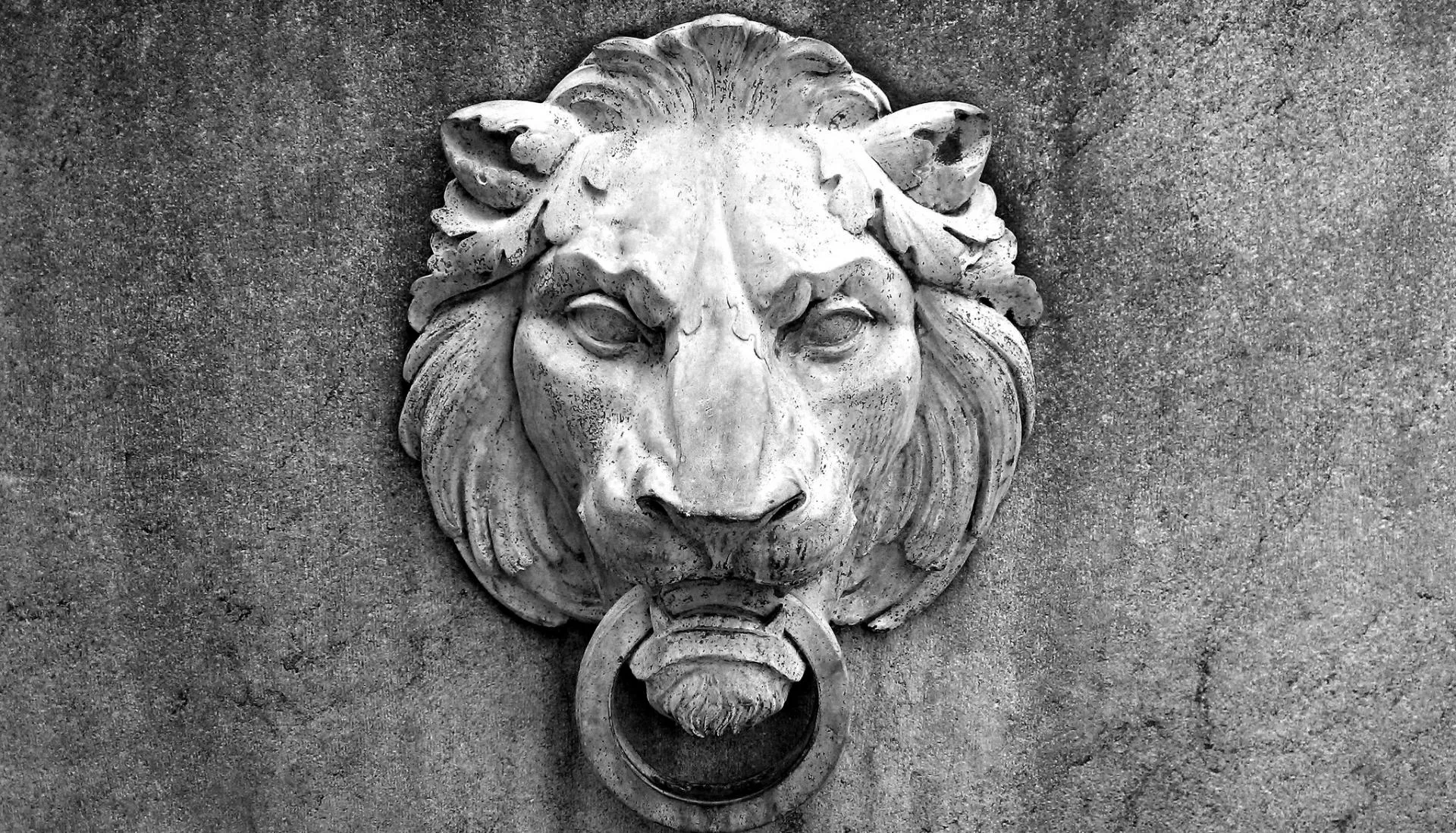 stone lion sculpture on a wall