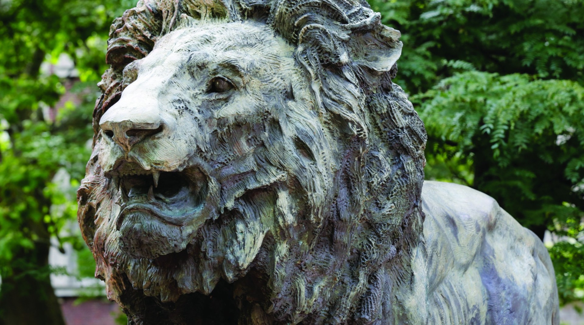 Statue of a bronze lion